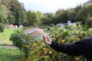 Antoine Orcil, responsable pédagogique en éducation à l\'environnement au CPIE Logne et Grand Lieu, Maison de l\'eau et des paysages, 14 novembre 2013 - Magali Babin